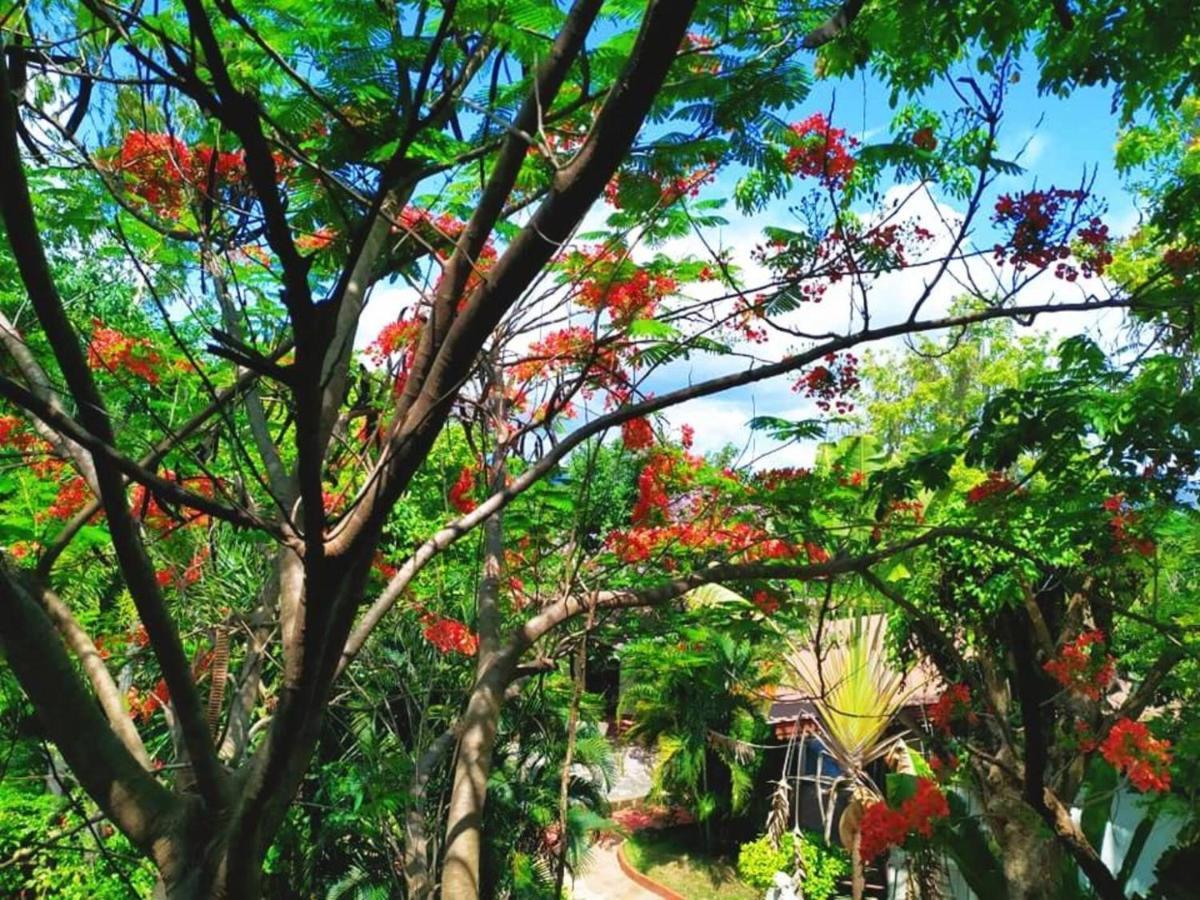 Denchai City Resort เด่นชัยซิตี้ รีสอร์ท Phrae Eksteriør bilde